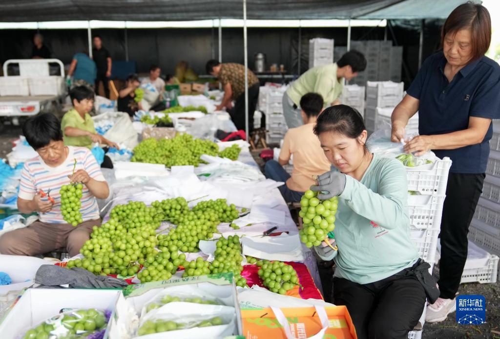 百老汇平台下载